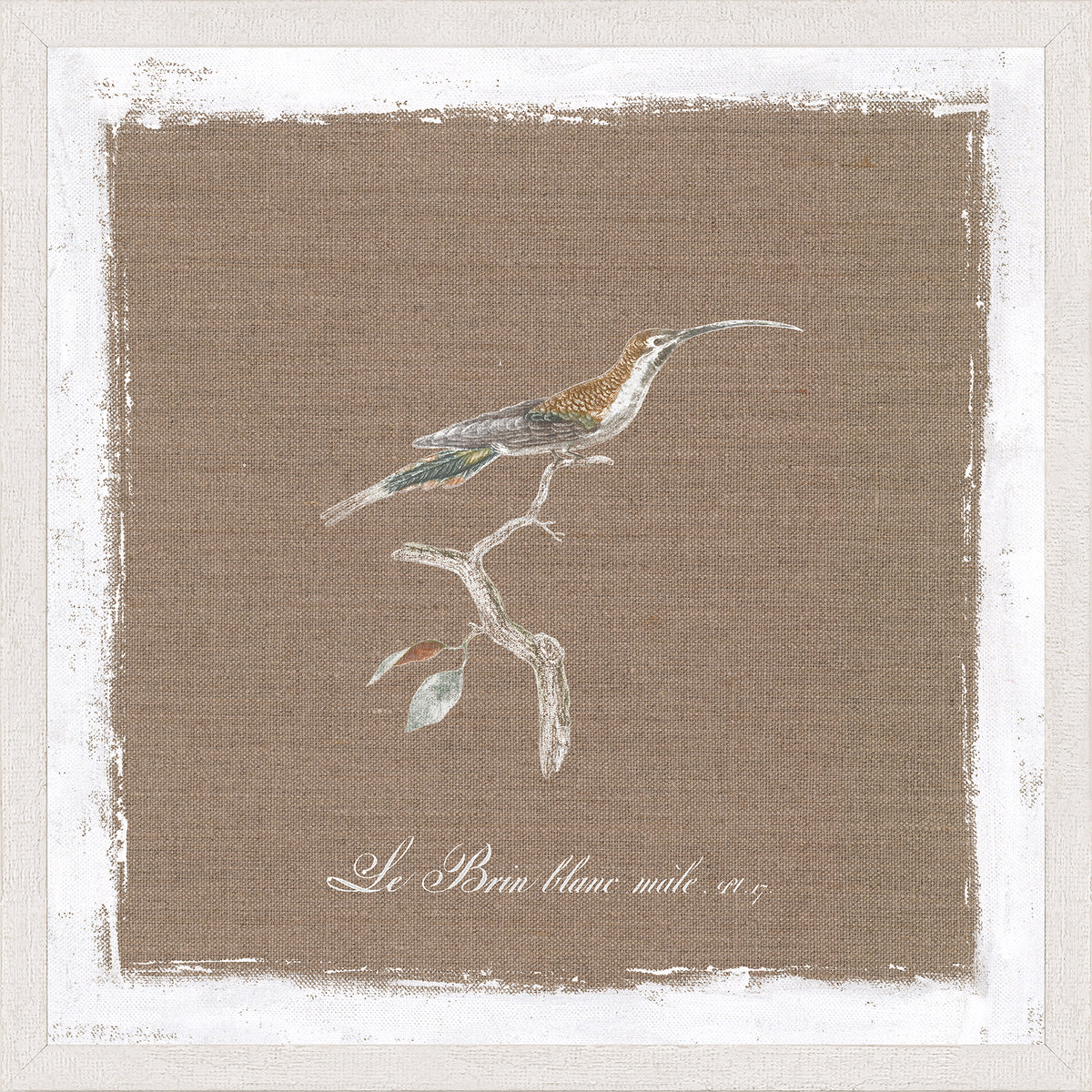 Oiseau Sur Lin II — nature and landscape fine art print in neutral tones at Laurie Yapp Home