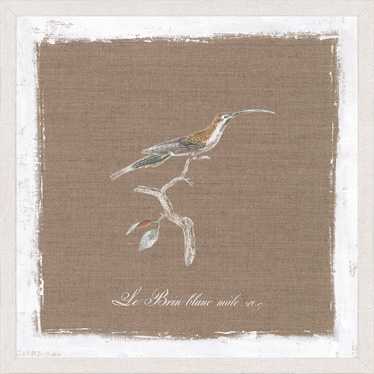 Oiseau Sur Lin II — nature and landscape fine art print in neutral tones at Laurie Yapp Home