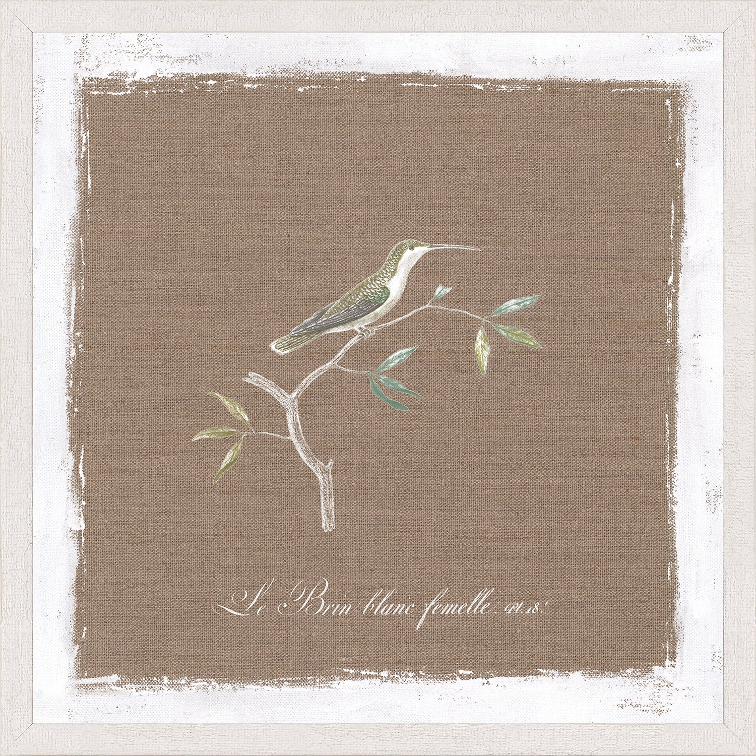 Oiseau Sur Lin III — nature and landscape fine art print in neutral tones at Laurie Yapp Home