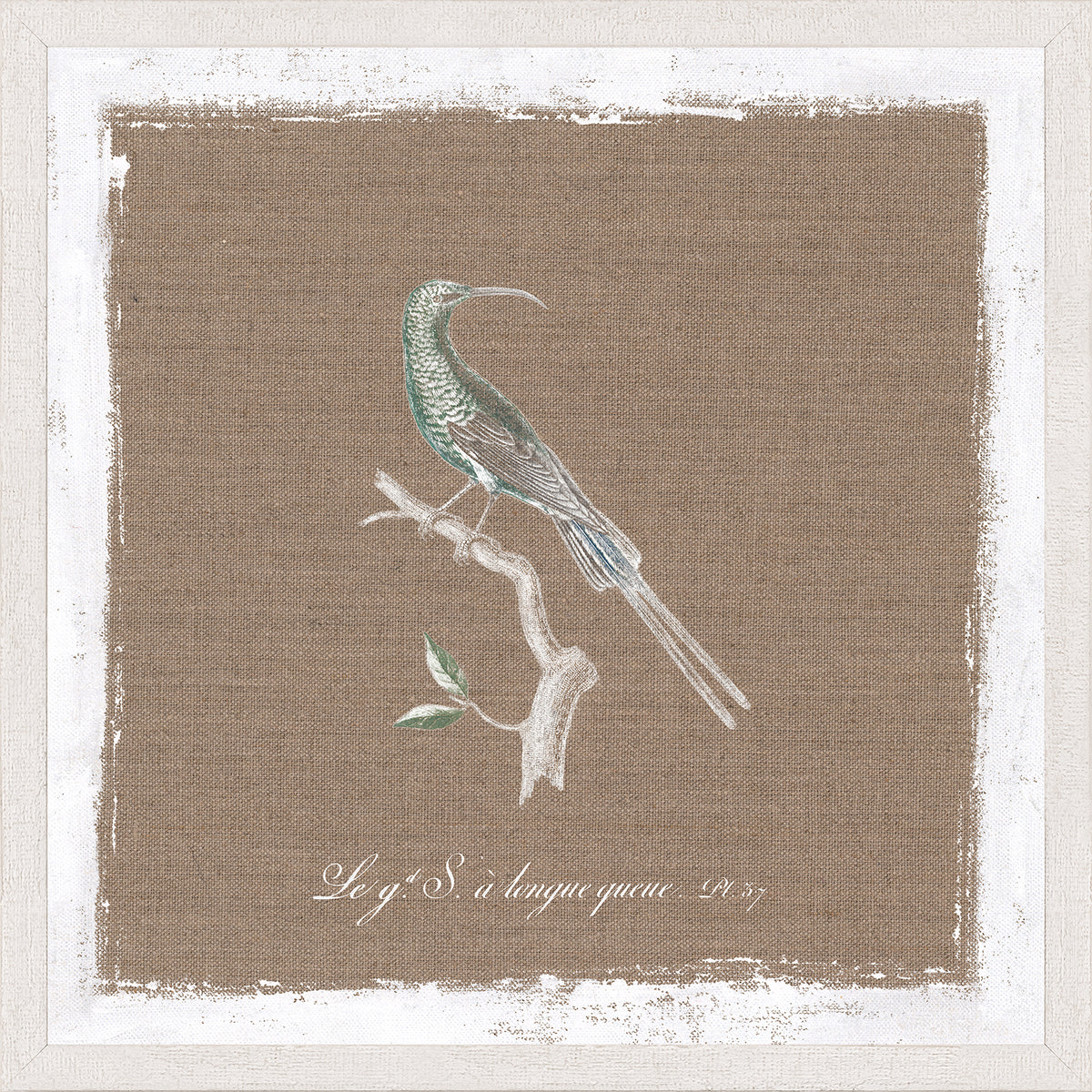 Oiseau Sur Lin IV — nature and landscape fine art print in neutral tones at Laurie Yapp Home