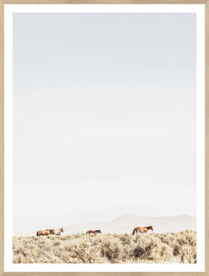 Sage Ridge, Horses — nature and landscape fine art print in neutral tones at Laurie Yapp Home