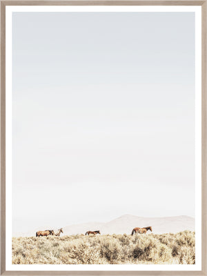Sage Ridge, Horses wall art featuring four horses grazing in a serene landscape with soft colors and a light frame.
