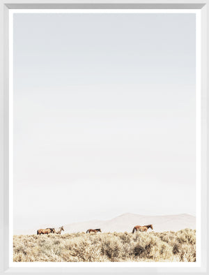 Sage Ridge, Horses — nature and landscape fine art print shown from another angle