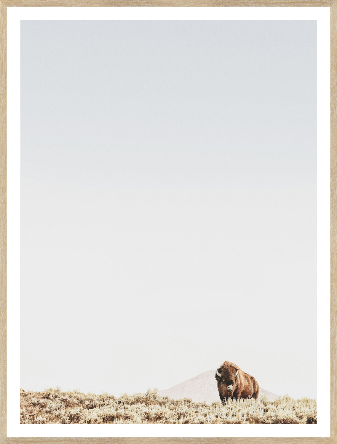 Sage Ridge Buffalo wall art featuring a lone buffalo in a serene landscape with a light sky.