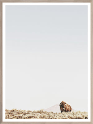 Sage Ridge, Buffalo — nature and landscape fine art print in neutral tones at Laurie Yapp Home