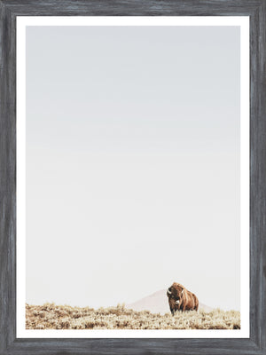 Sage Ridge, Buffalo — nature and landscape fine art print shown from another angle