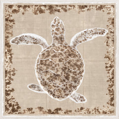 99,7 × 99,7 cm – Encadré sous verre