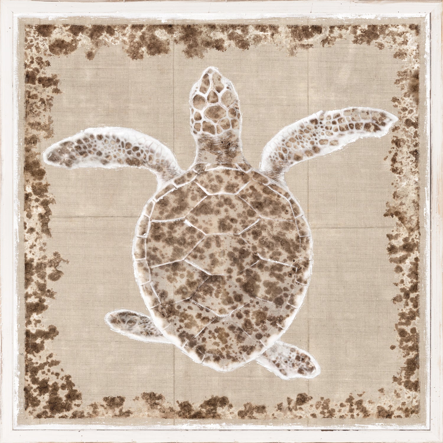 Sea Turtle I — nature and landscape fine art print in warm tones at Laurie Yapp Home