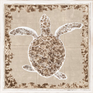 Sea Turtle I — nature and landscape fine art print in warm tones at Laurie Yapp Home