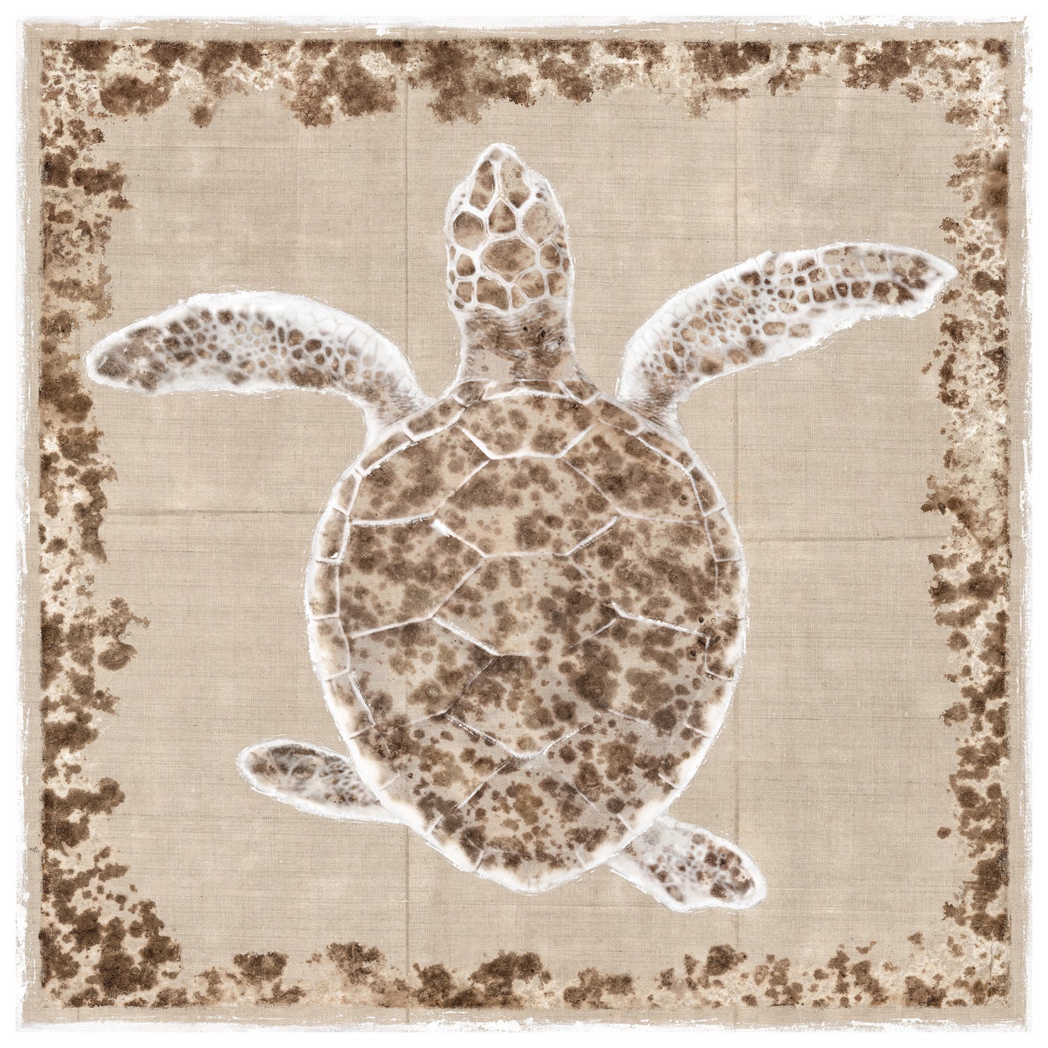 Sea Turtle I — nature and landscape fine art print shown from another angle