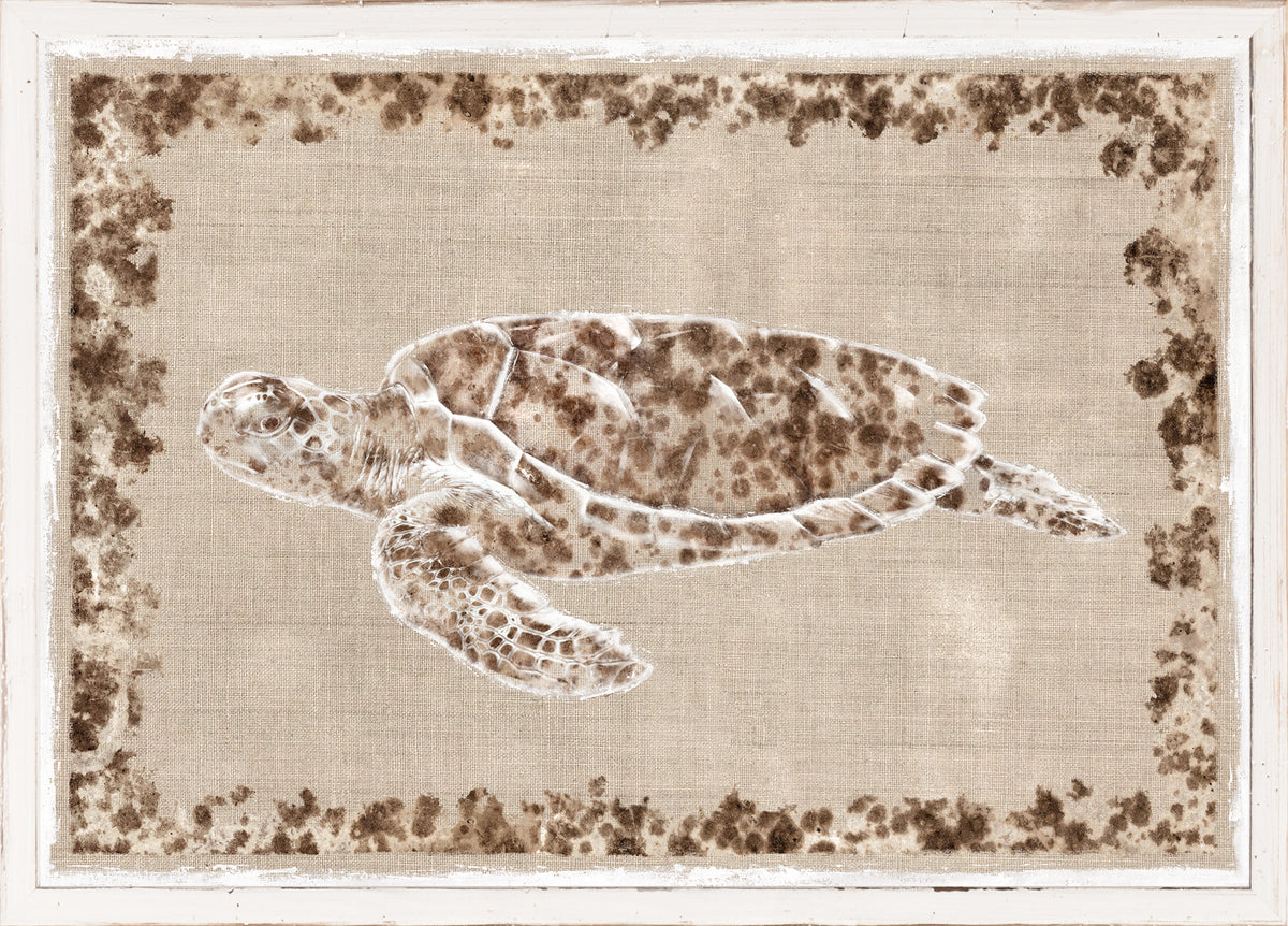 Sea Turtle II wall art featuring a turtle design on a textured beige background.