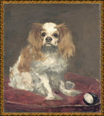 Petit (13 × 15 po)