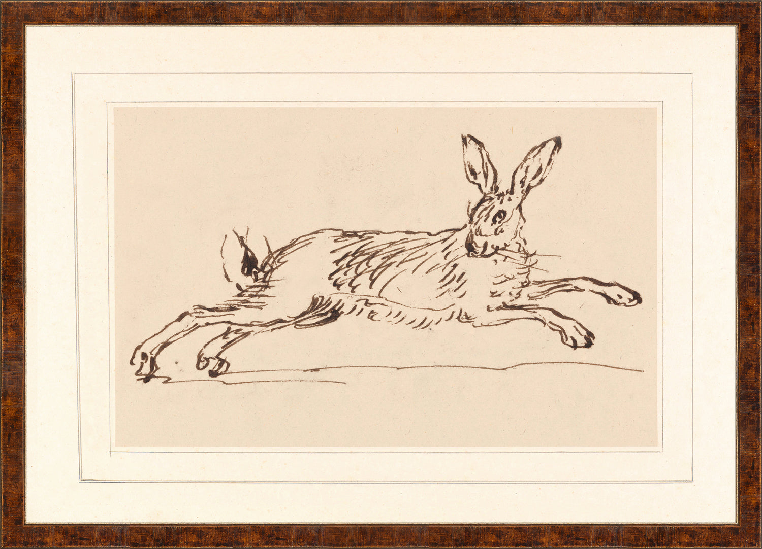 Collection 23 Animal Sketches Trio Bundle