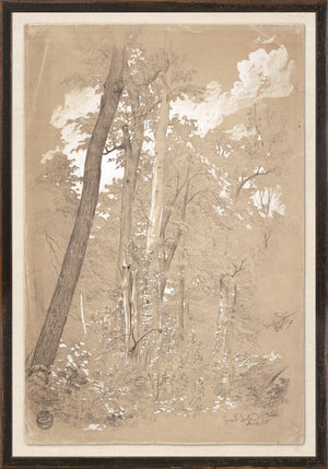 front view of COLLECTION 23 – CHESTNUT TREES, NIAGARA RIVER C. 1858 luxury Artwork