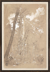 12,25 × 17,25 po