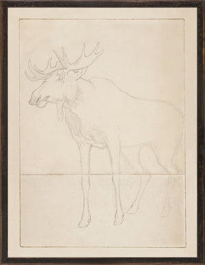 Cottage Wildlife Sketches Trio Bundle