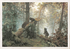 36,20 × 26,04 cm