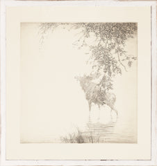 12,25 × 11,25 po