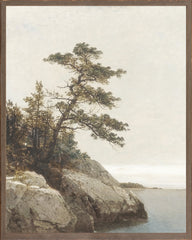 40,64 × 50,8 cm