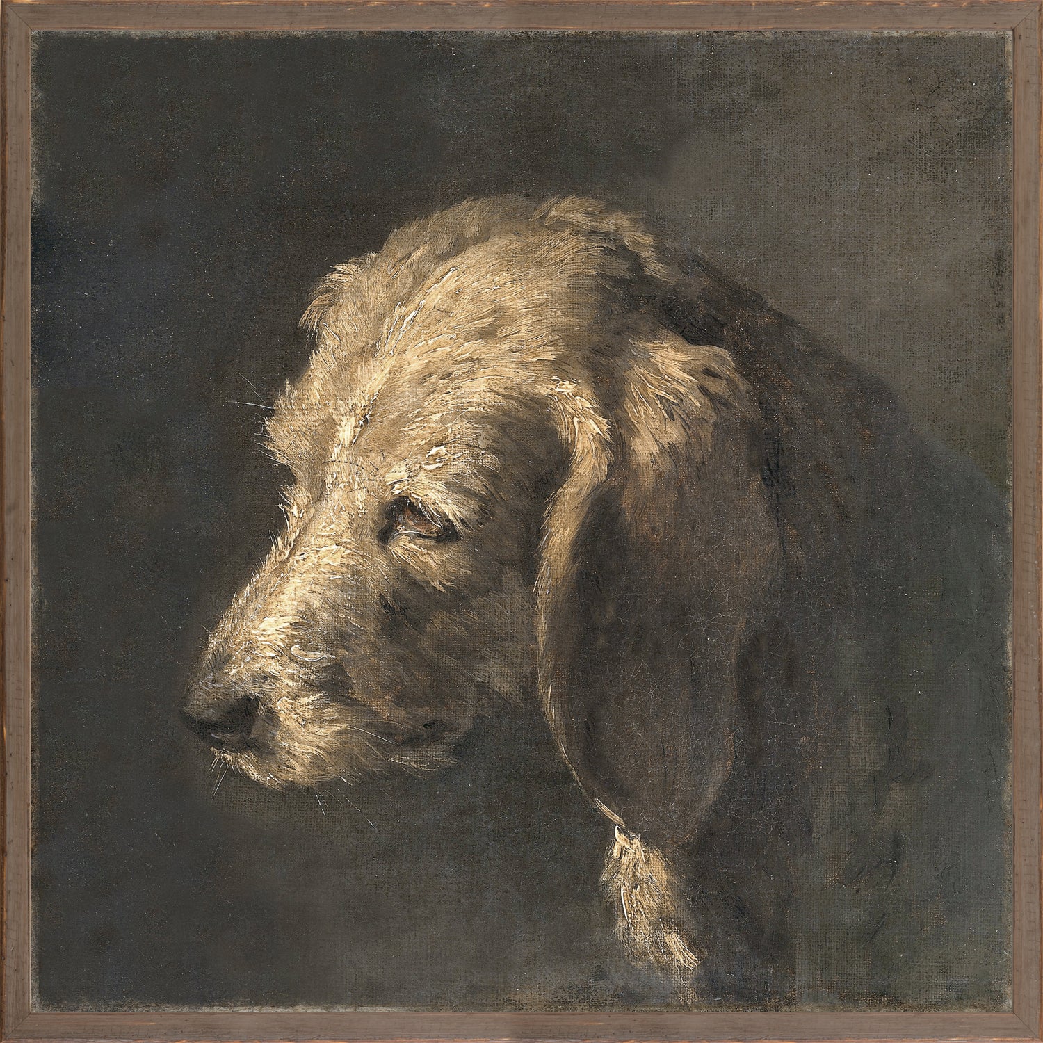 Northern Collection Portrait C. 1845