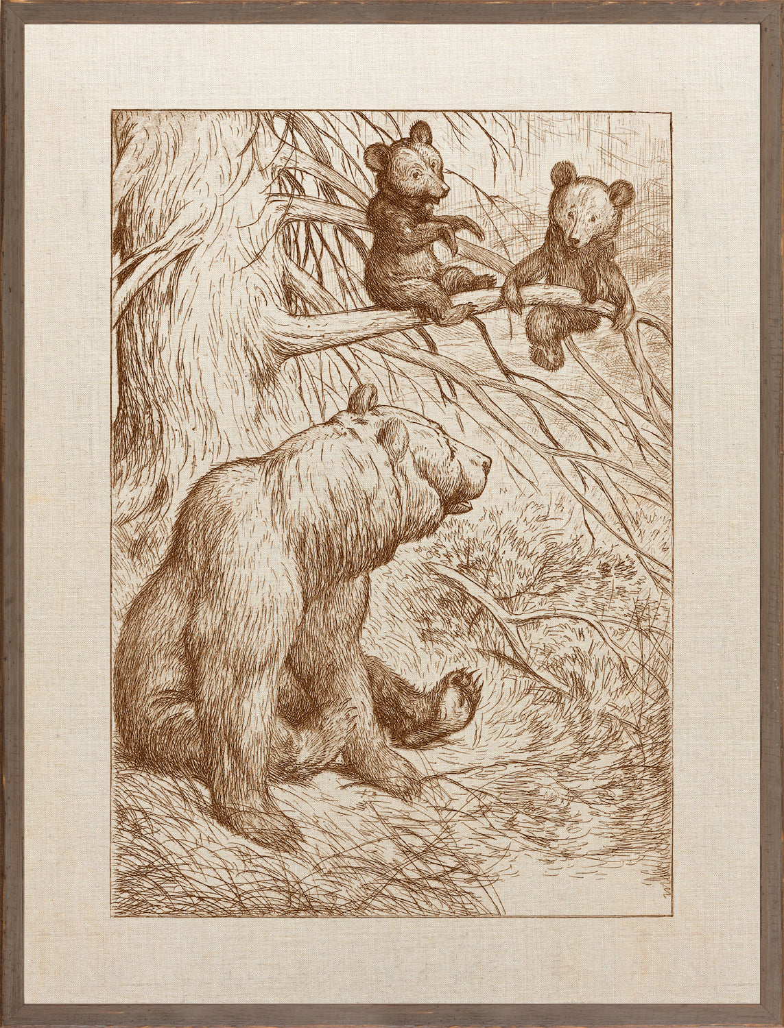 Northern Collection Mother with Cubs