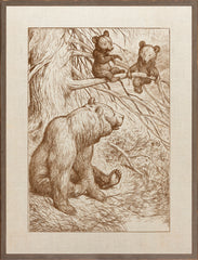 16 × 21 po