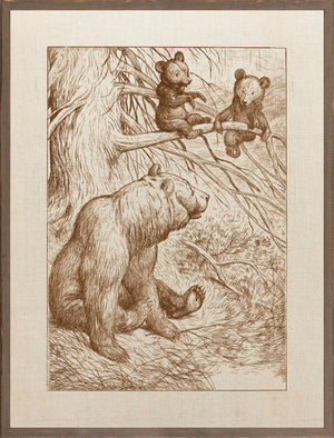 Northern Collection Mother with Cubs