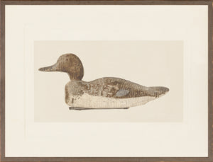 Northern Collection Decoy C 1938 framed art print