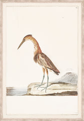 16 × 23 po