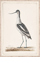 40,6 × 58,4 cm