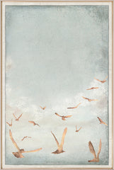 37 × 55 po – Droite