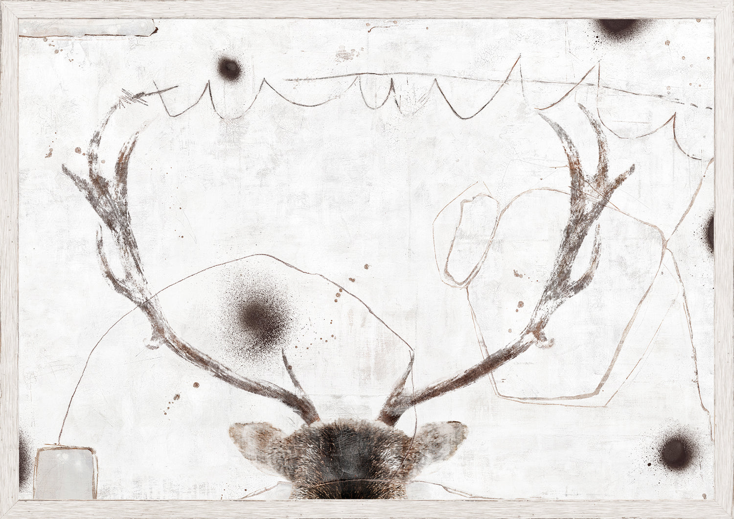 Carousel – Stag wall art featuring a stag's antlers on a textured white background.