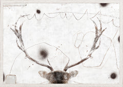 27,25 × 19,25 po – Encadré sous verre