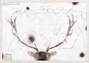 Carousel – Stag wall art featuring a stag's antlers on a textured white background.