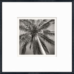 Petite photographie + bordures blanches (dimensions du cadre : 16,75 × 16,75 pouces)