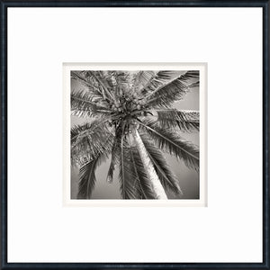 angle view of NOSTALGIA COLLECTION – PALM TREE C. 1959 luxury Artwork