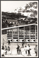 29 × 43 po