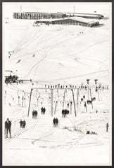 29 × 43 po