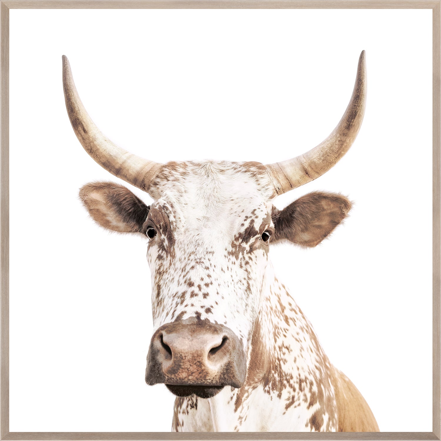 Nguni wall art featuring a close-up of a spotted cow's face with prominent horns.