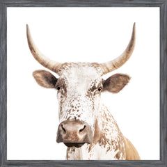 56 × 56 cm – Cadre gris