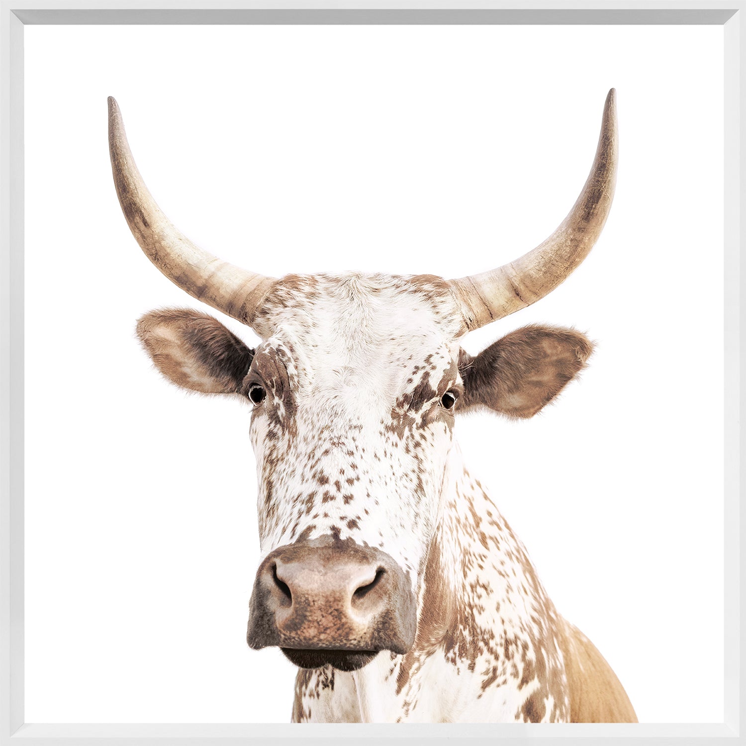 Nguni — nature and landscape fine art print shown from another angle