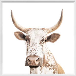Nguni — nature and landscape fine art print shown from another angle