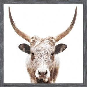 Watusi — nature and landscape fine art print in neutral tones at Laurie Yapp Home