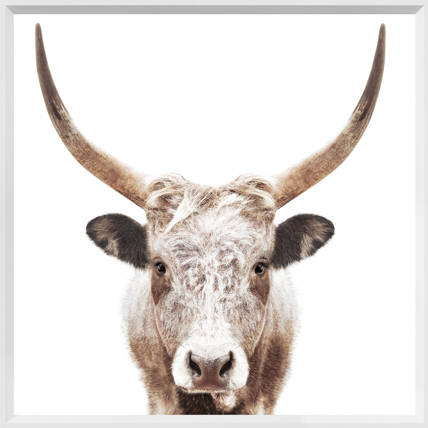 Watusi — nature and landscape fine art print shown from another angle