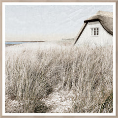 41,5 × 41,5 pouces