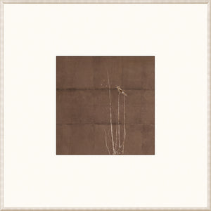 Fleeting Moment I — nature and landscape fine art print in warm tones at Laurie Yapp Home