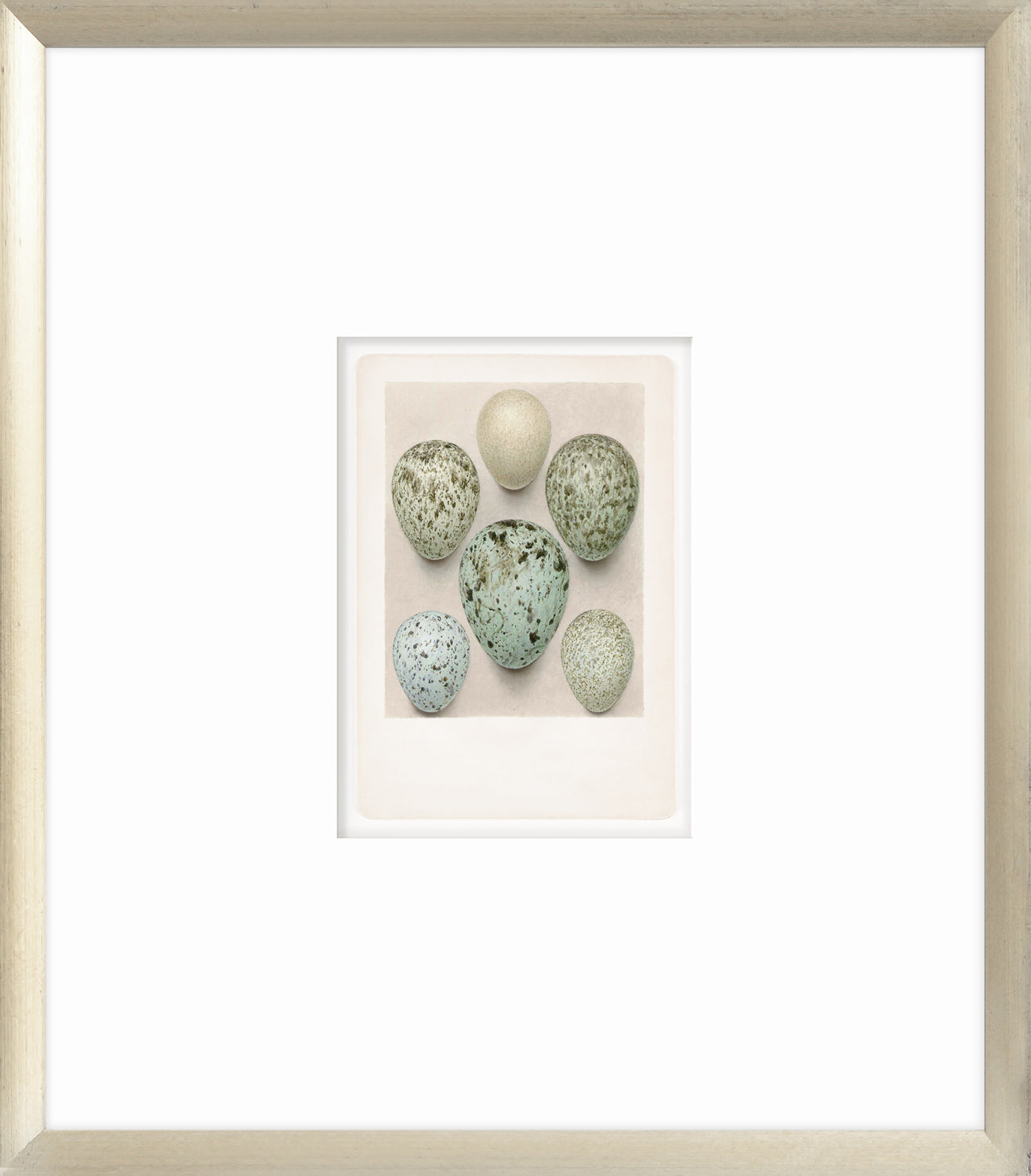 British Bird Eggs wall art featuring seven speckled eggs in various shades of green and blue.