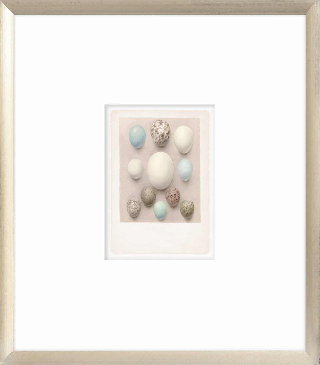 British Bird Eggs II C. 1924 wall art featuring various colored eggs on a soft background.