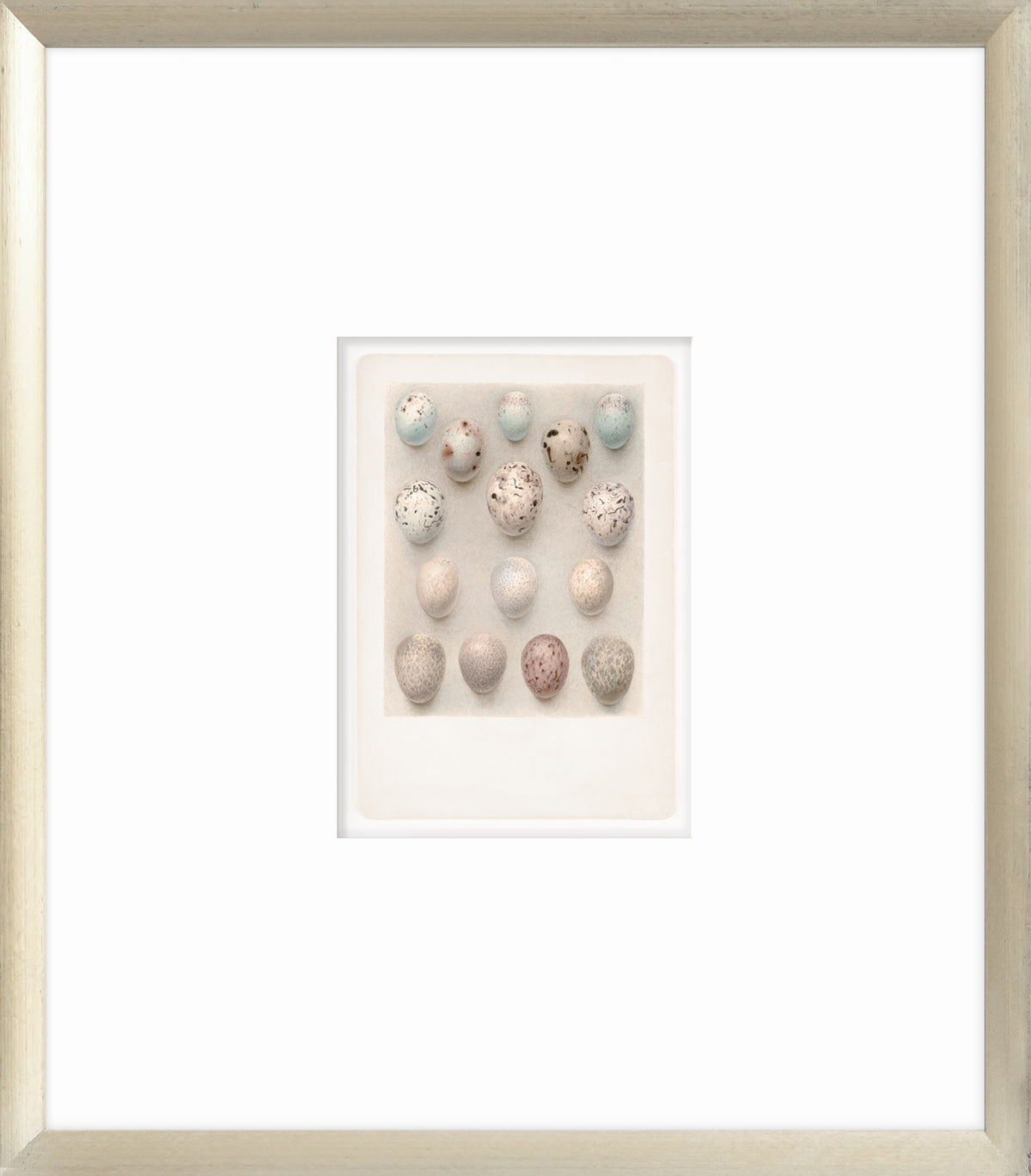British Bird Eggs V C. 1924 wall art featuring various colored eggs arranged in a grid.