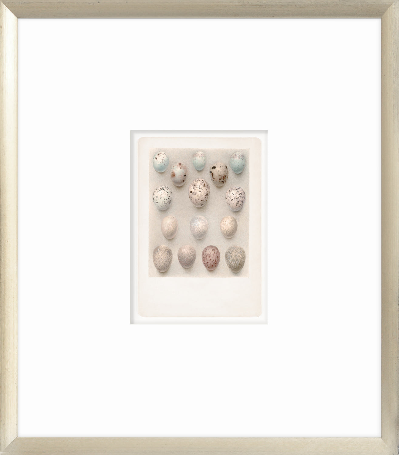 British Bird Eggs V C. 1924 wall art featuring various colored eggs arranged in a grid.